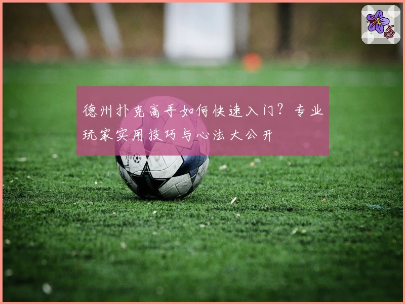 德州扑克高手如何快速入门?专业玩家实用技巧与心法大公开