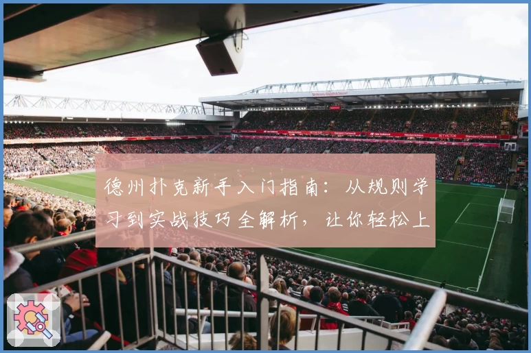 德州扑克新手入门指南：从规则学习到实战技巧全解析，让你轻松上手不迷茫