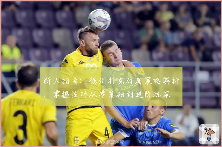 新人指南：德州扑克对局策略解析，掌握技巧从零基础到进阶玩家