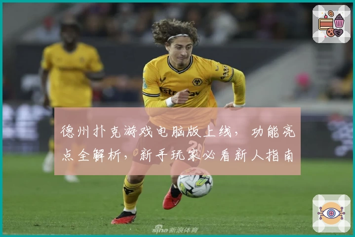 德州扑克游戏电脑版上线，功能亮点全解析，新手玩家必看新人指南