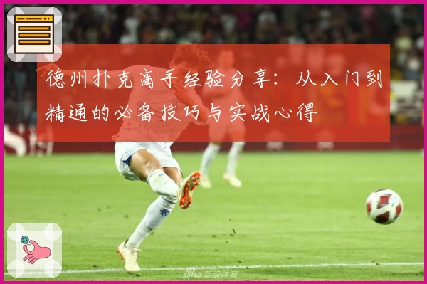 德州扑克高手经验分享:从入门到精通的必备技巧与实战心得