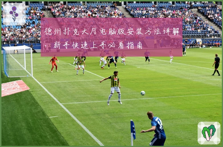 德州扑克大厅电脑版安装方法详解，新手快速上手必看指南