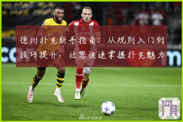 德州扑克新手指南：从规则入门到技巧提升，让您快速掌握扑克魅力