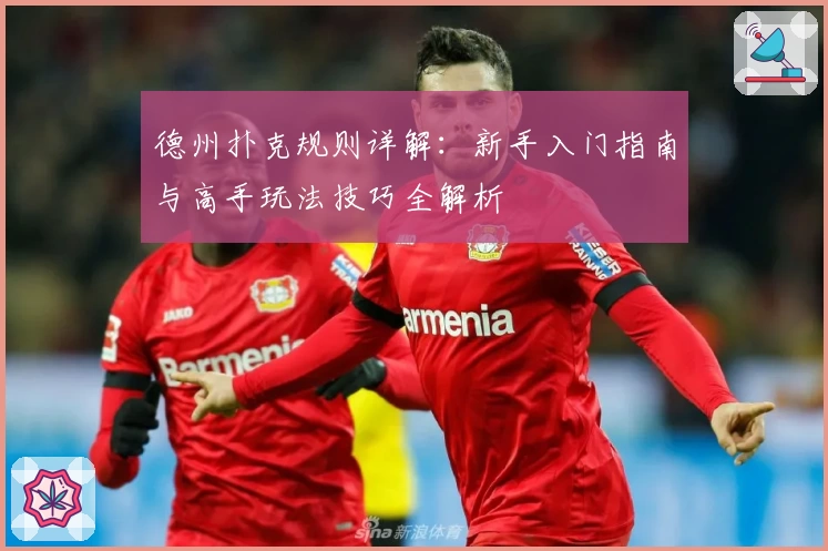 德州扑克规则详解：新手入门指南与高手玩法技巧全解析