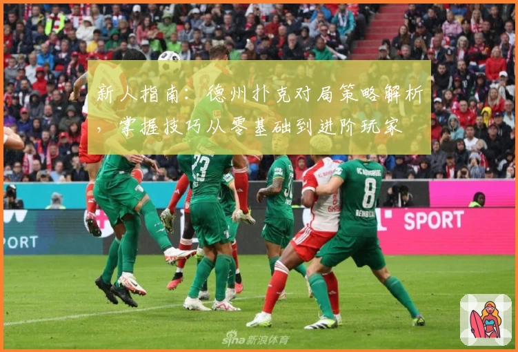 新人指南：德州扑克对局策略解析，掌握技巧从零基础到进阶玩家